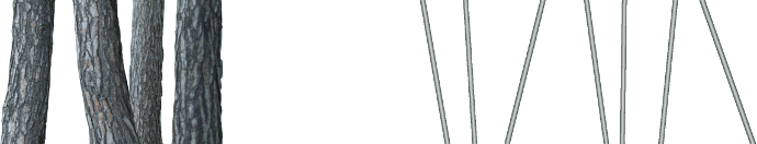 10.png